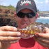 Spotted Coral Blenny & Hawaiian Black Triggerfish July 29 2005