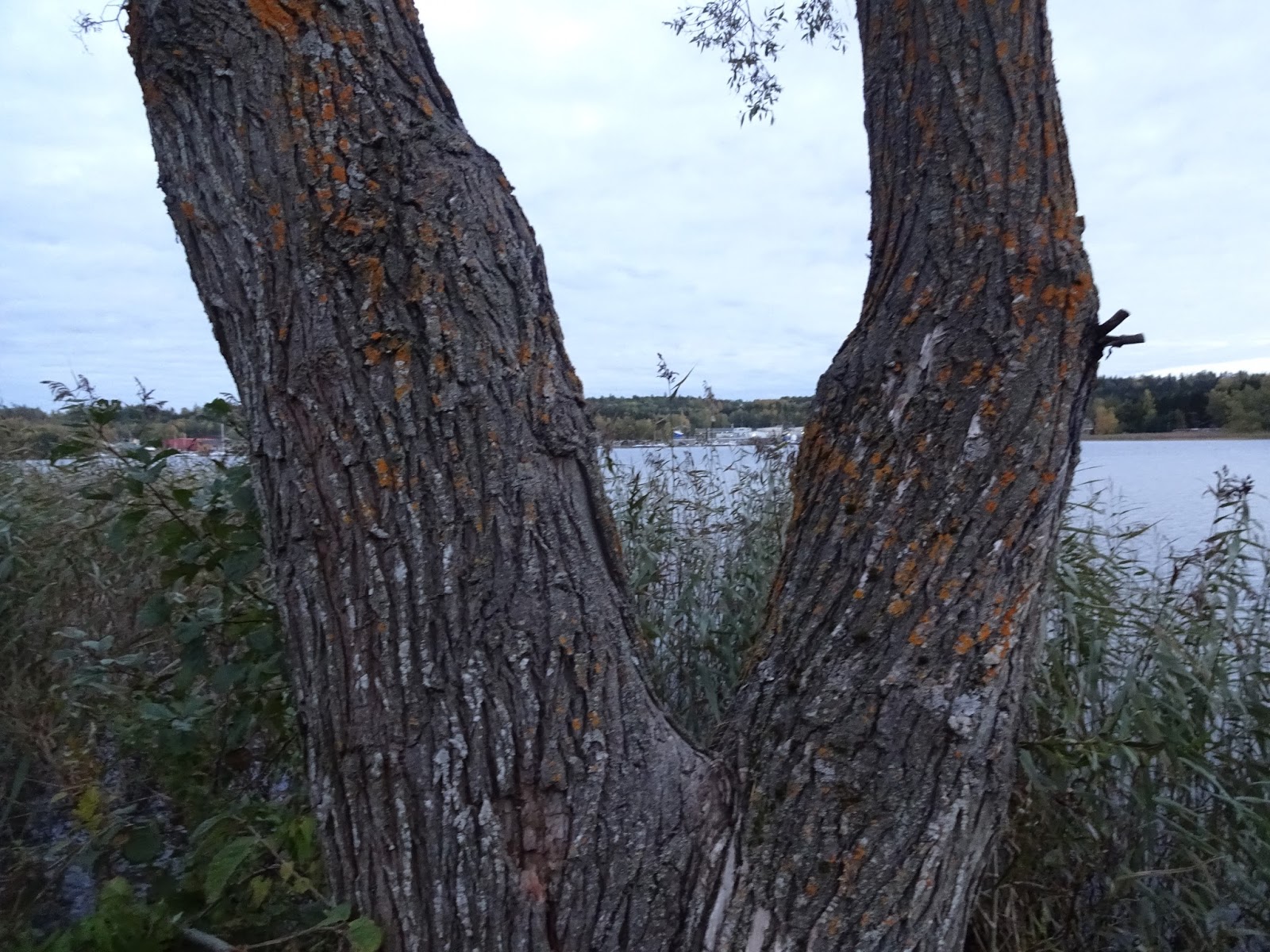 Ingas Tankst lle Minisemester 5 Motala Sj stad