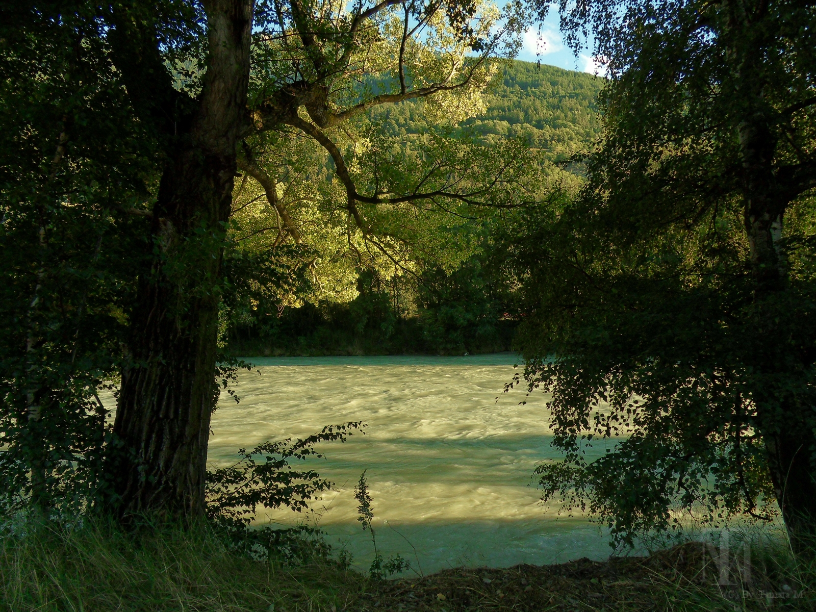 Fotografie & Herzblut 1111 (Sommer)Wege