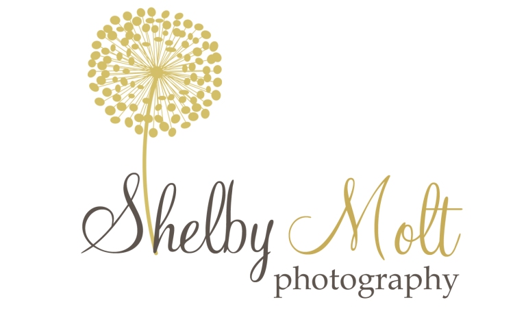 Shelby Molt Photography