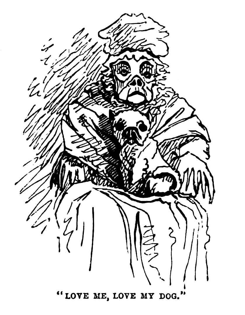 1861 cartoon 1861 cartoon of old woman and dog look alike