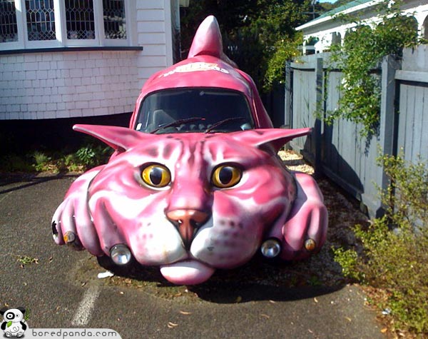 weird-unusual-cars-cat.jpg