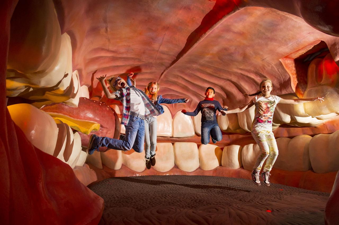 Внутри человека москва Внутри человека москва