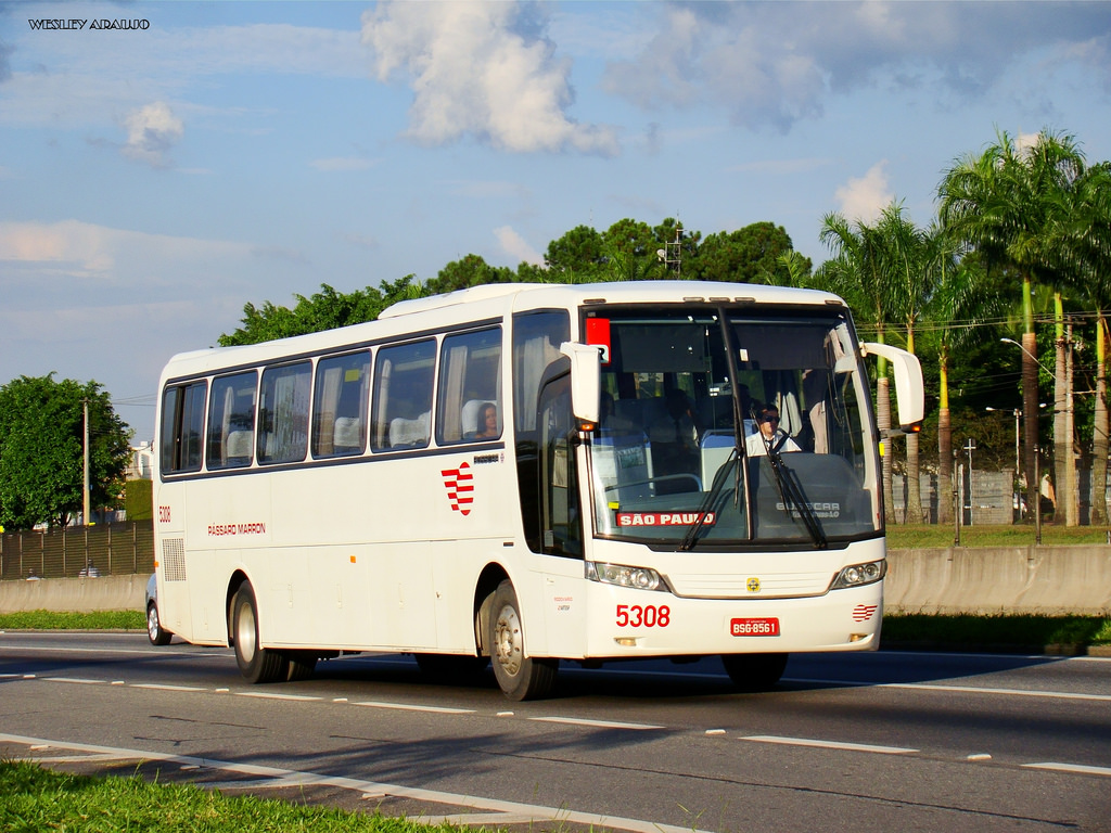Loucos Por Onibus Passaro Marrom 5308 loucos-por-onibus-passaro-marrom-5308