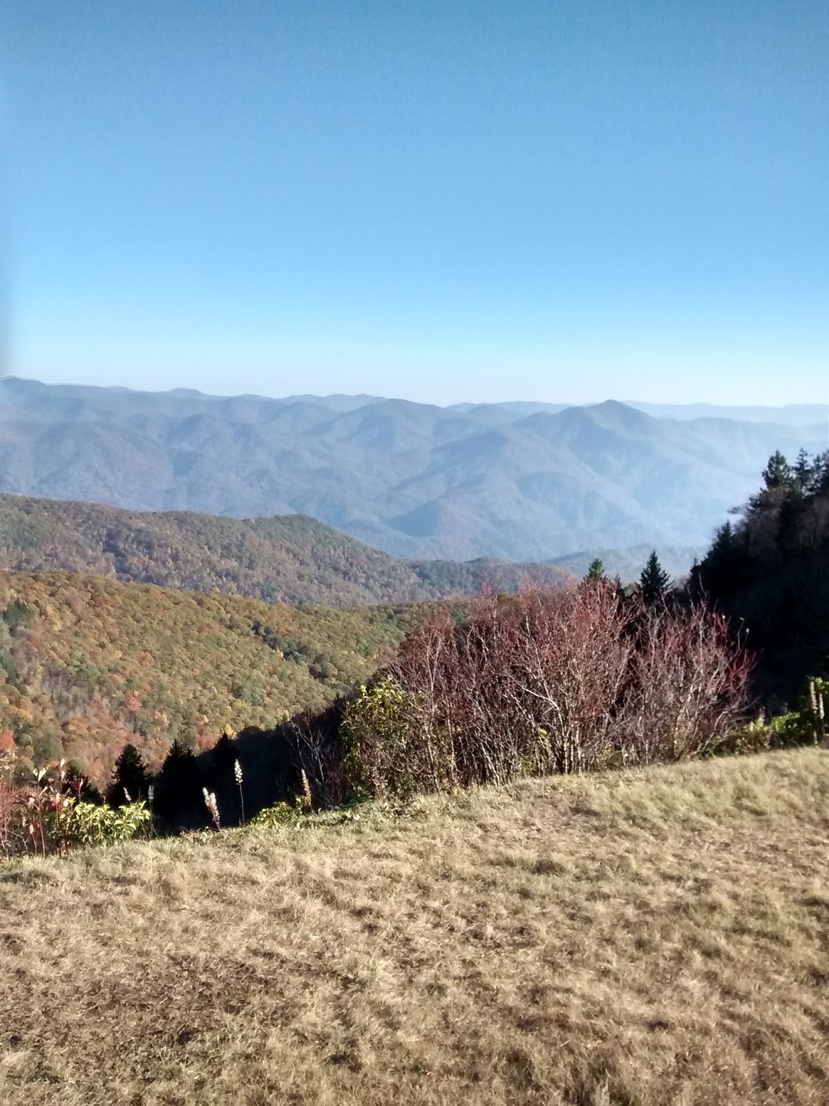 36 photos of spending the festive season in the smoky mountains for you Simply Practical: A New Year's a Coming!