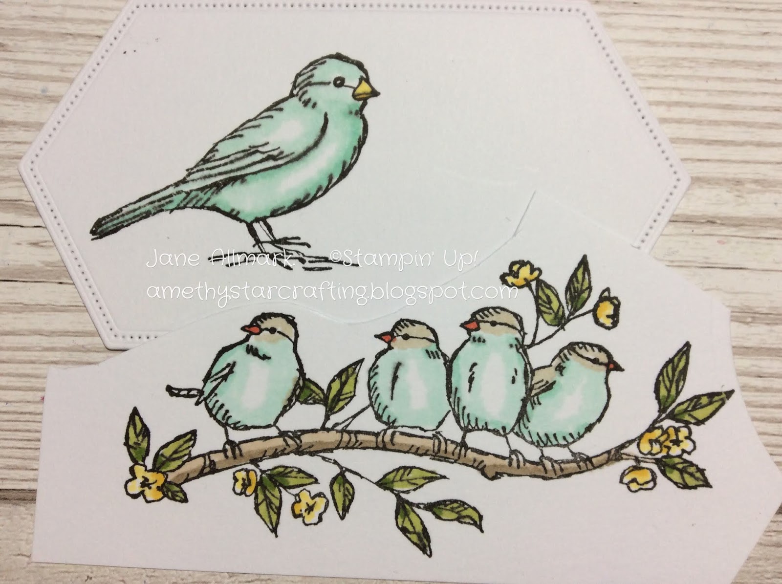 Crafting With Jane: Stampin Up New Free As A Bird - colouring tips for ...