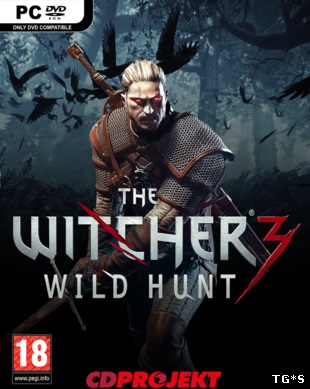 Download The Witcher 3: Wild Hunt PT BR - PC Torrent ...