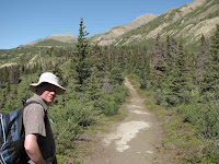 Sheep Creek Trail: genieten van een spannende wandeling Sheep Creek Trail-Kluane National Park-Beren