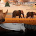 Why Best quality Survival and Folding Blade Knife Your Really Need