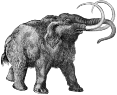 Woolly Mammoth