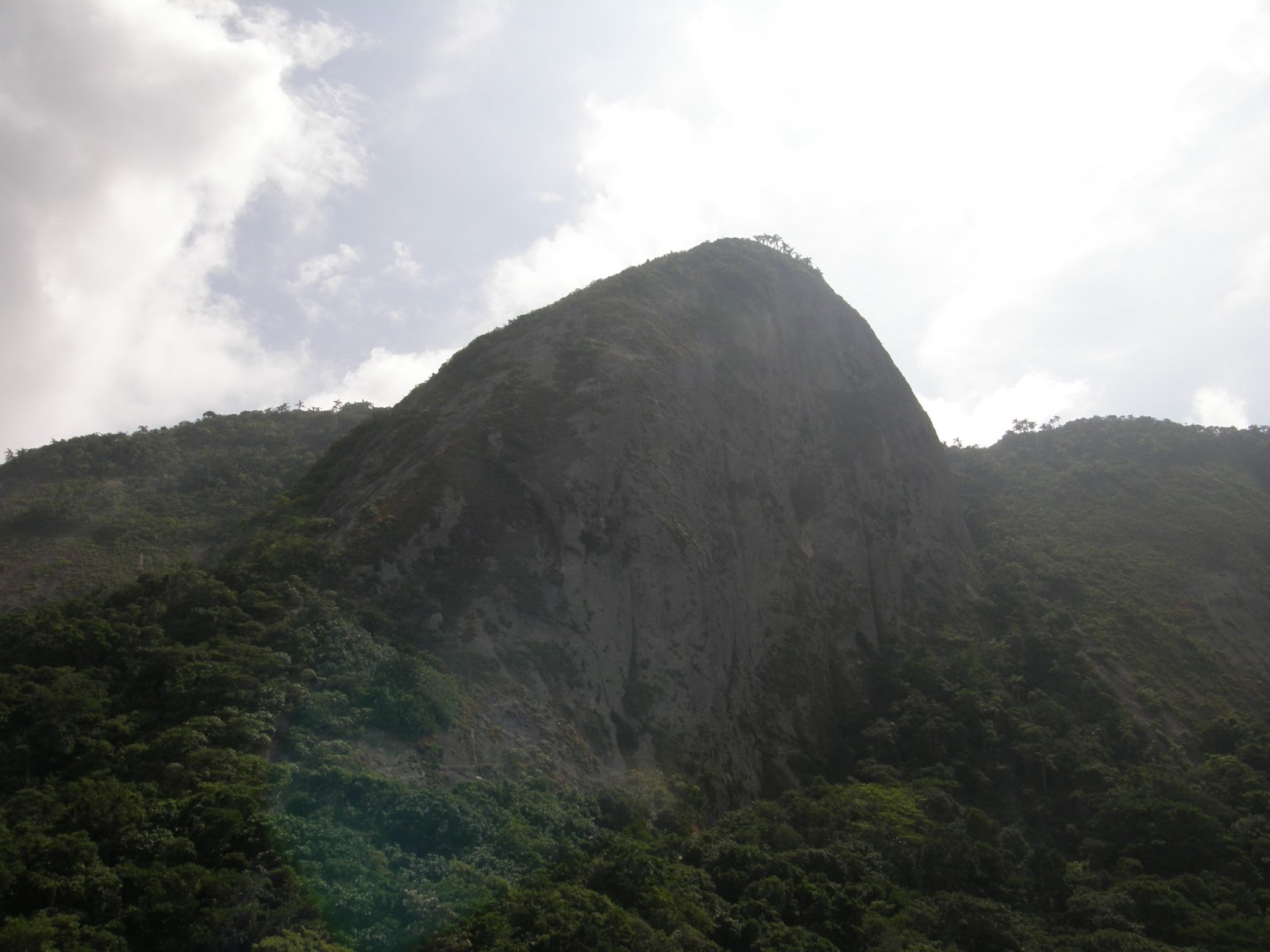BIOFLAGRANTES* PARQUE ESTADUAL SERRA DA TIRIRICA BIOMA FLORESTA ATLÂNTICA