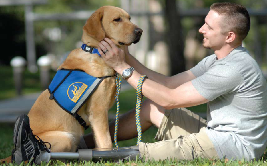 PTSD-Veteran-with-Assistance-Dog