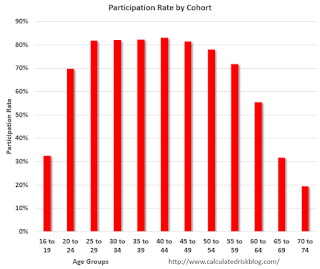 Participation Rate by Cohort
