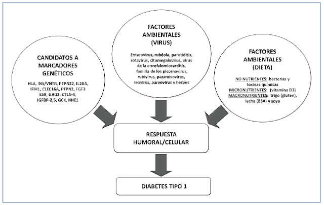 factores medioambientales de diabetes tipo 1 factores medioambientales de diabetes tipo 1