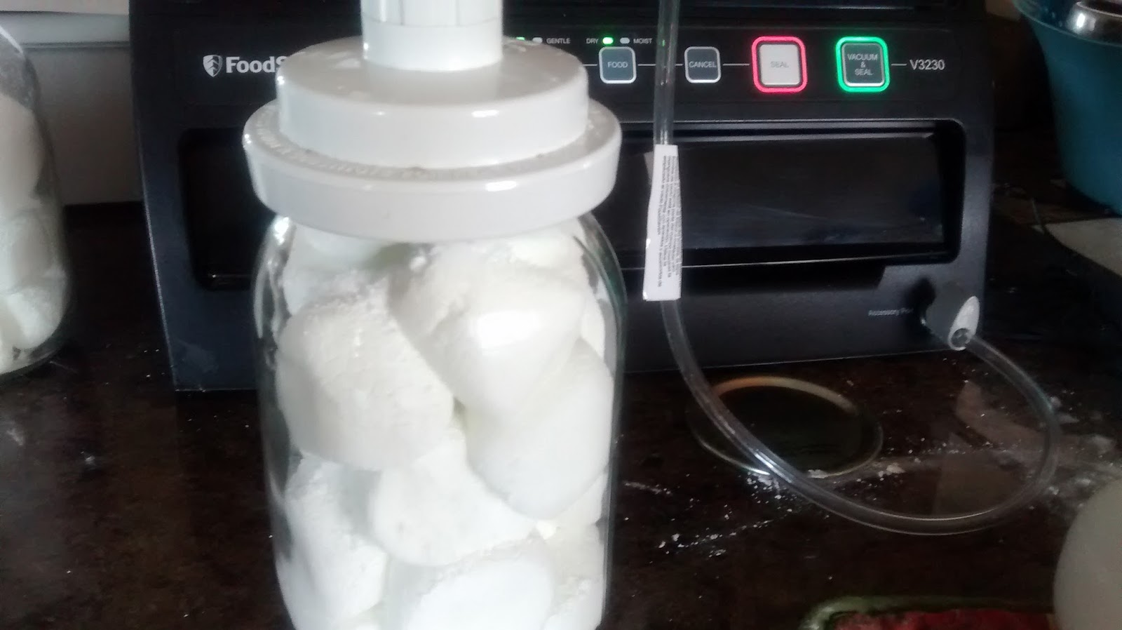 Frugal Living on the Watkins Ranch Dehydrating and Dry Packing
