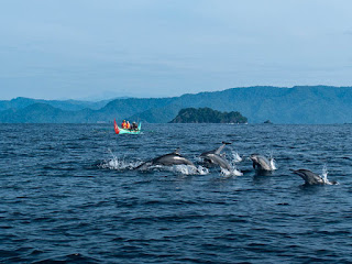 Teluk Kiluan Lampung