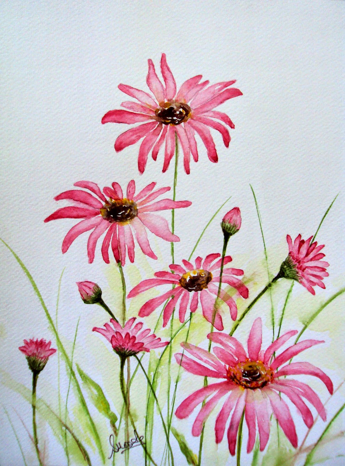 singhroha-art-watercolors-pretty-pink-daisies