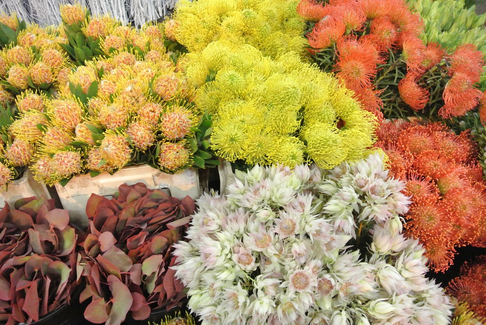 EssWorks: New Covent Garden Flower Market