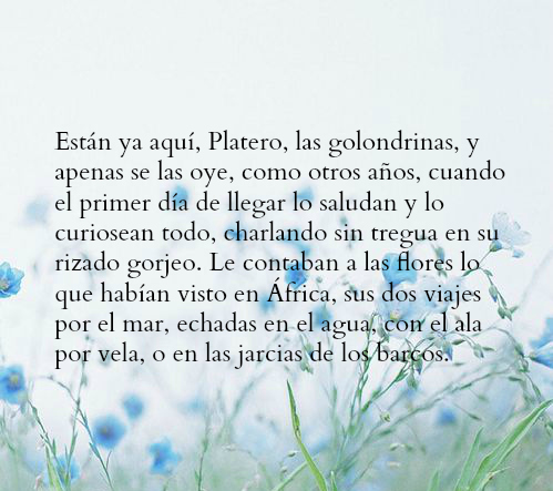 Platero-y-yo-capitulo-Las-golondrinas