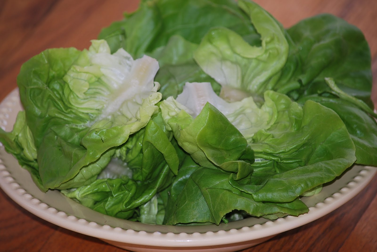 Meals for Busy Families "Lettuce" eat chicken