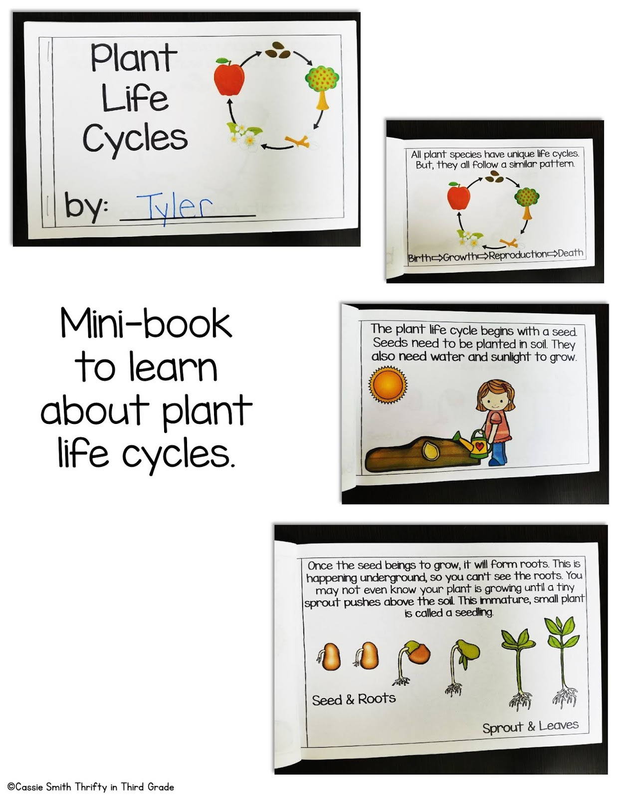 Inheritance and Variations of Traits: Life Cycles and Traits 3rd Grade