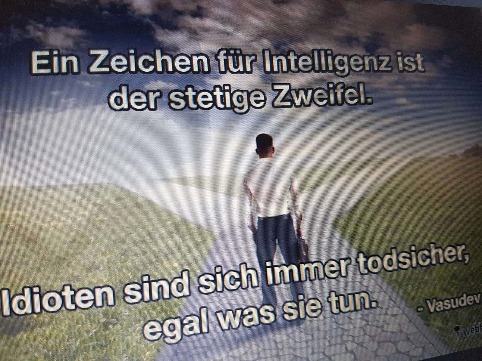 Die Schwalbe Mai 2017