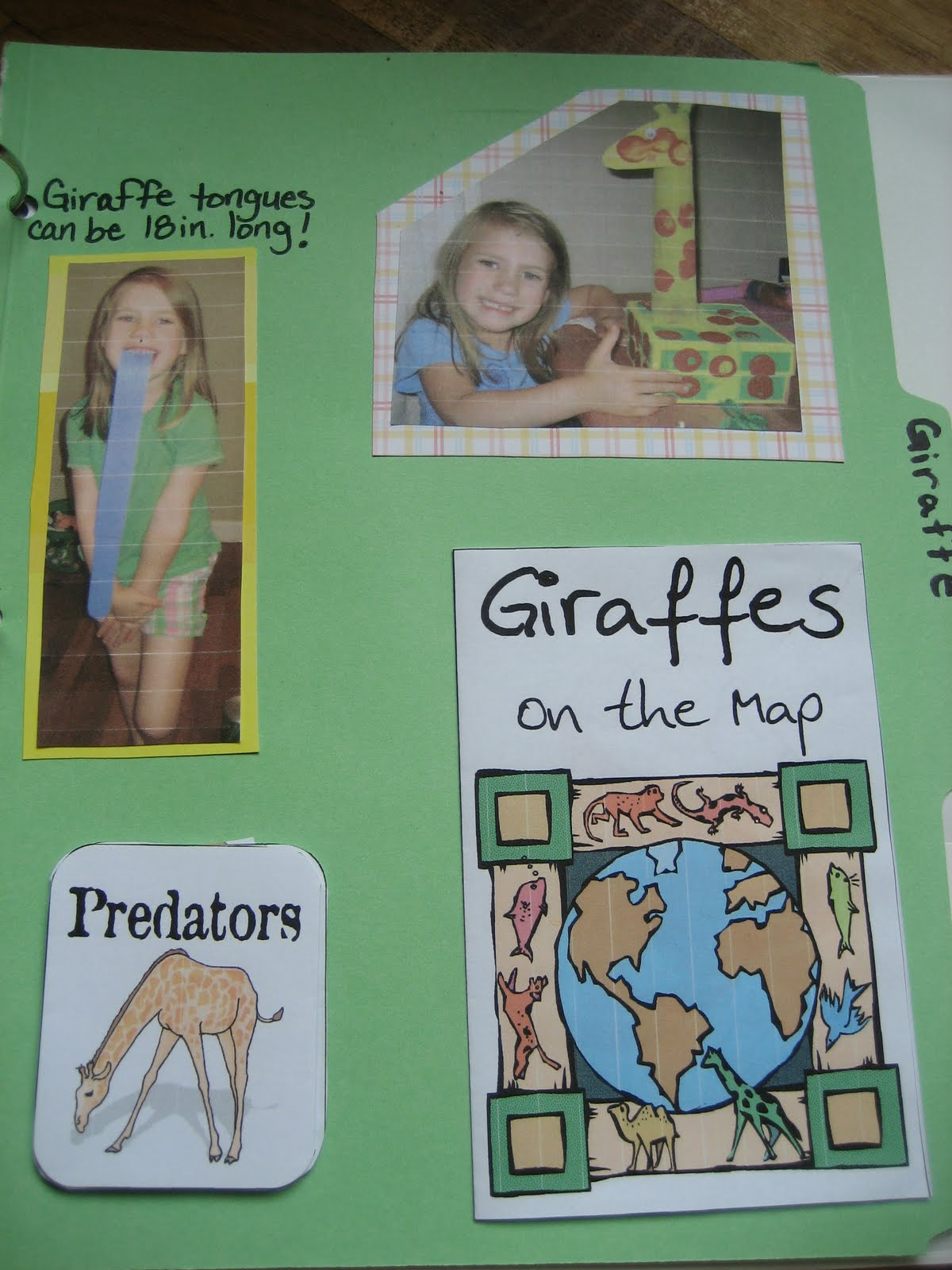 The Preschool Experiment: Animal Notebook