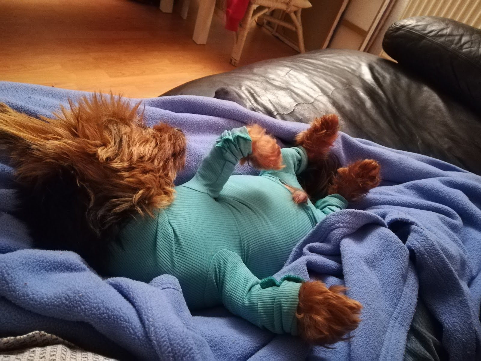 Inn Salzach Blick Ausgabe 48 2019 By Blickpunkt Verlag Issuu