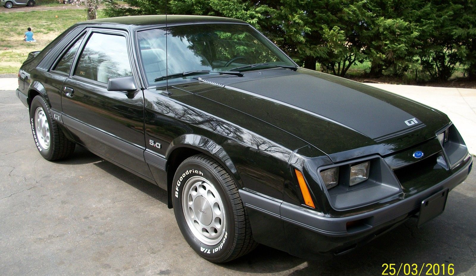 Daily Turismo Canned Fox 1986 Ford Mustang Gt
