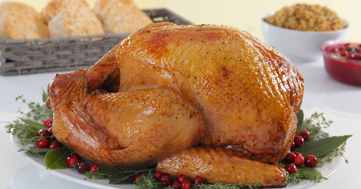 The Best Ideas for Thanksgiving Turkey Seasoning – Best Diet and ...