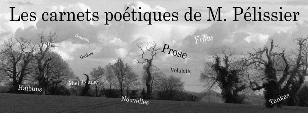 Les carnets poétiques de M.Pélissier