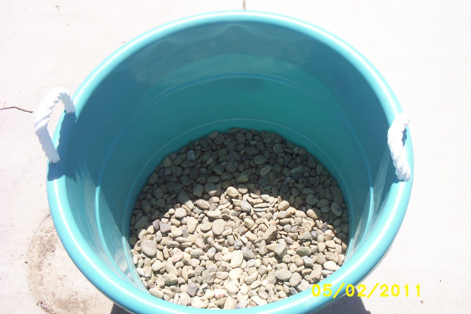 How Does My Garden Grow Planting Tomatoes