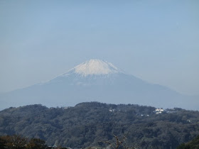 浄明寺緑地からの富士