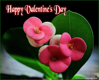 valentines day images for friends valentines day images for husband