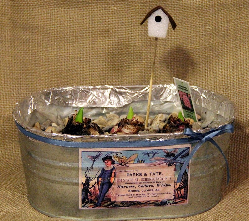 The Feral Turtle: The Gift Of Green