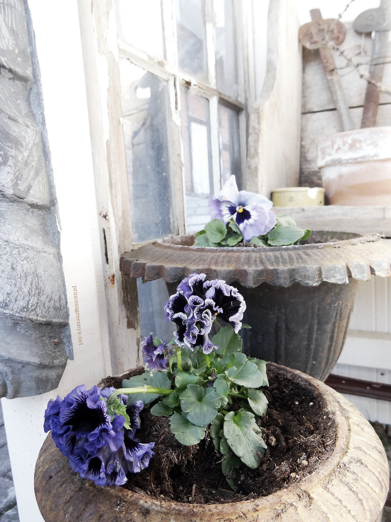 princessgreeneye: Das letzte Gartenstück................