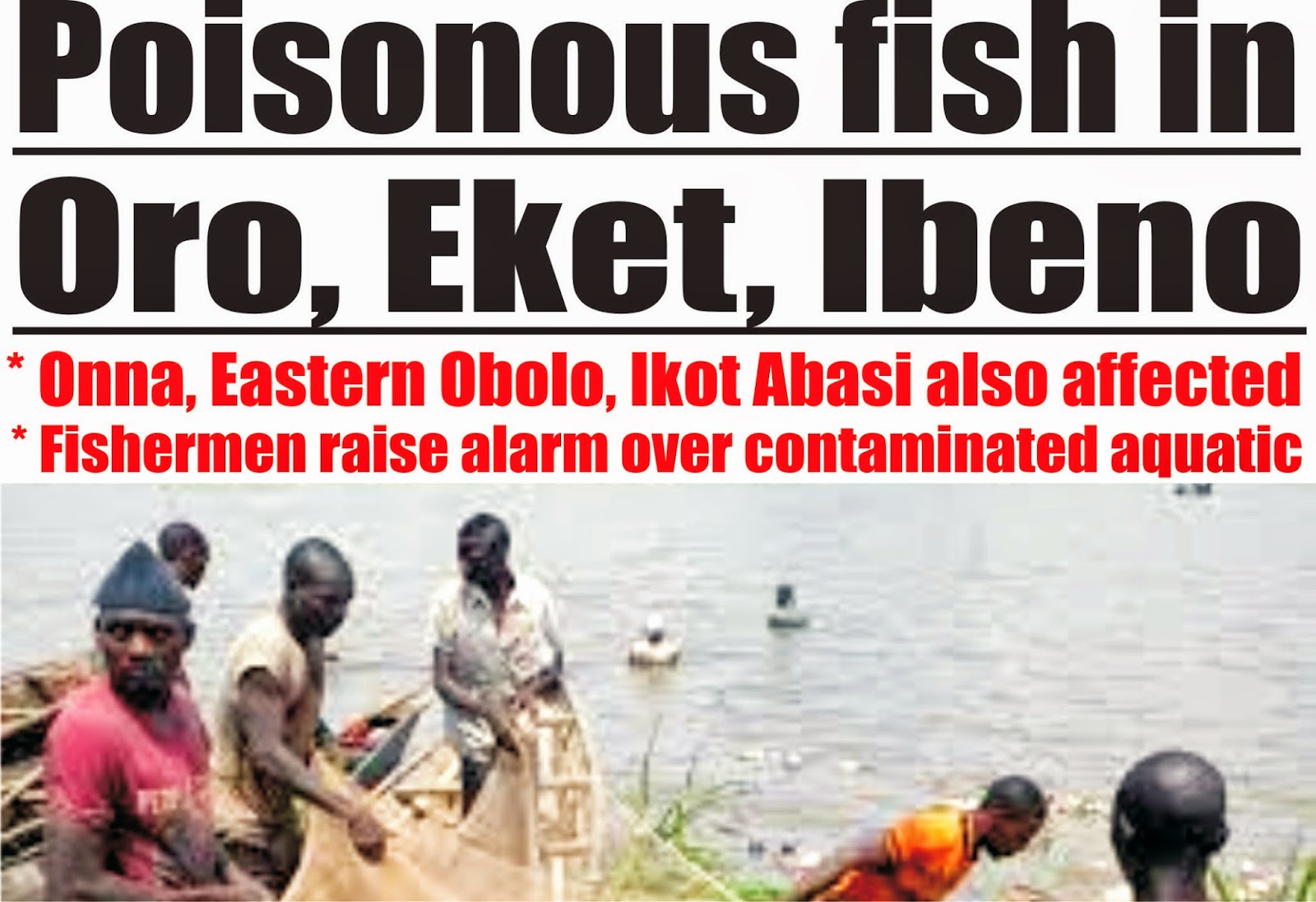 Poisonous fish in Oro, Eket, Ibeno *Onna, Eastern Obolo, Ikot Abasi