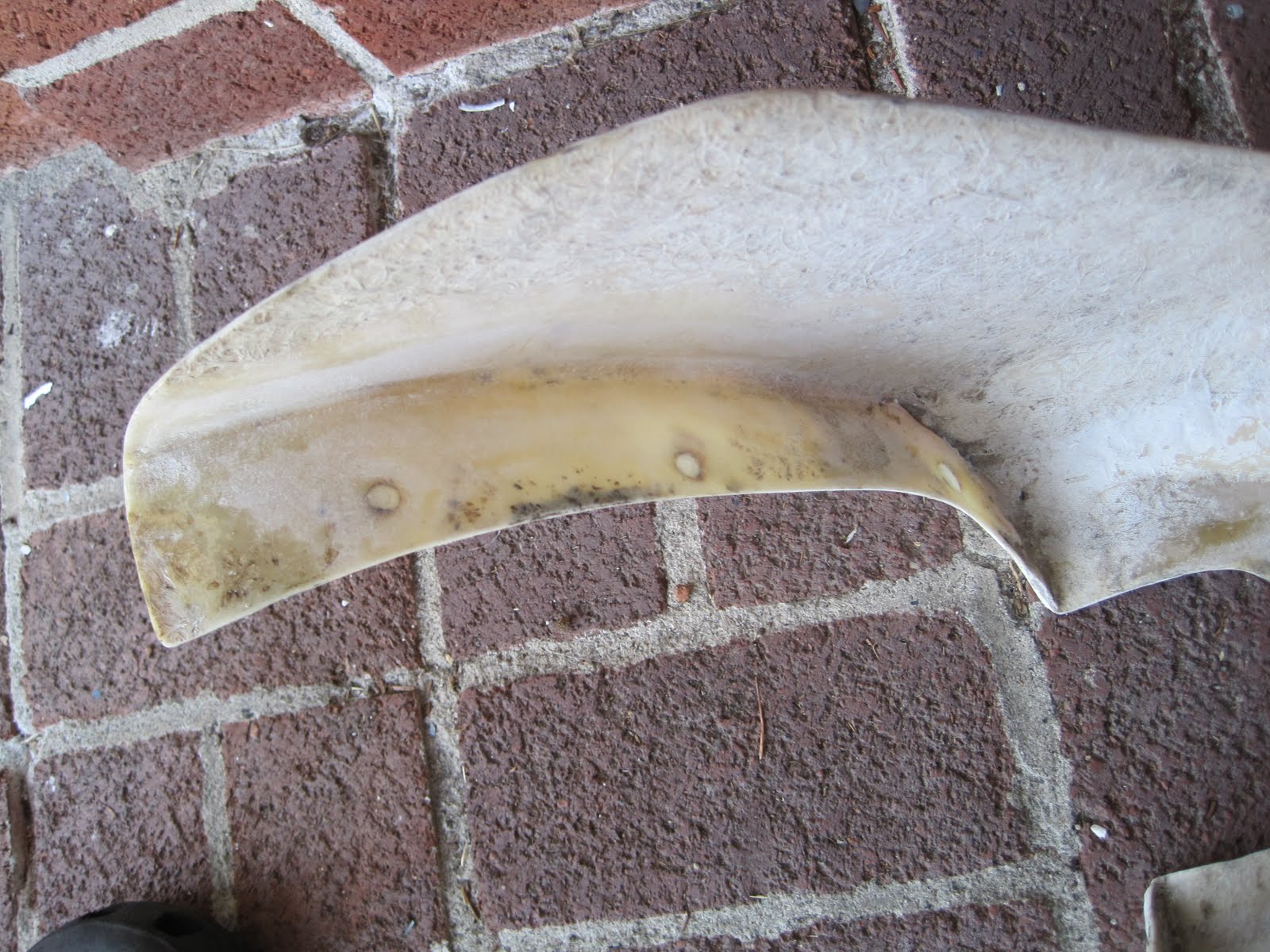 1962 Lambretta TV 175 Restoration Fiberglass Fender Repair