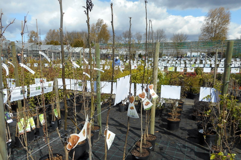 Opvallend Onopvallend Garden Center