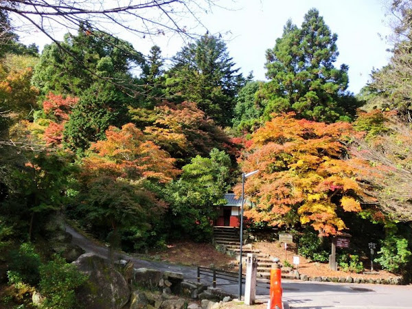 2015年九州紅葉情報