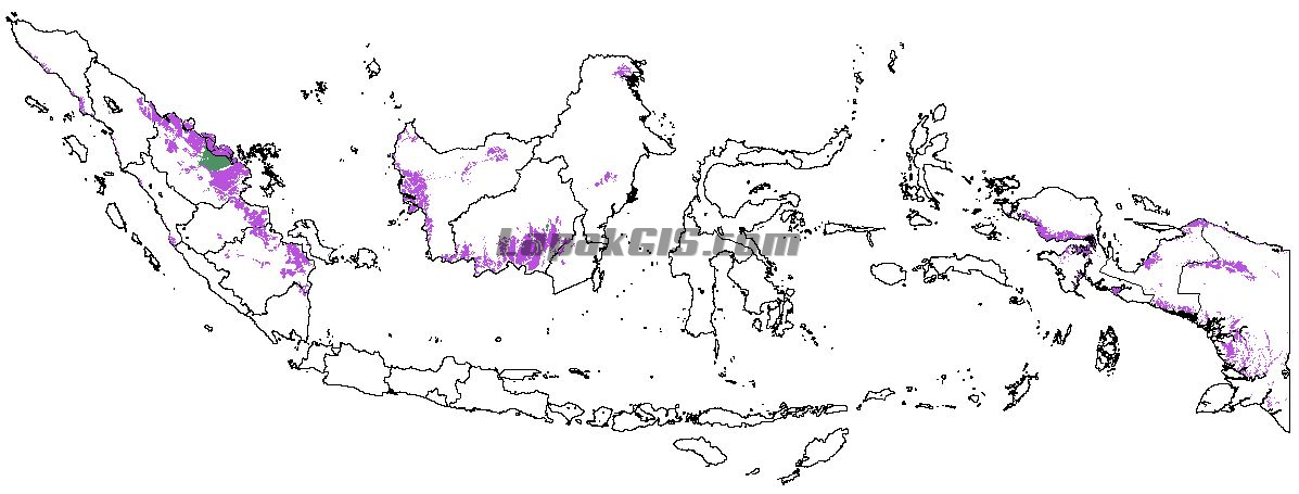 Shapefile Area Lahan Gambut Seluruh Indonesia