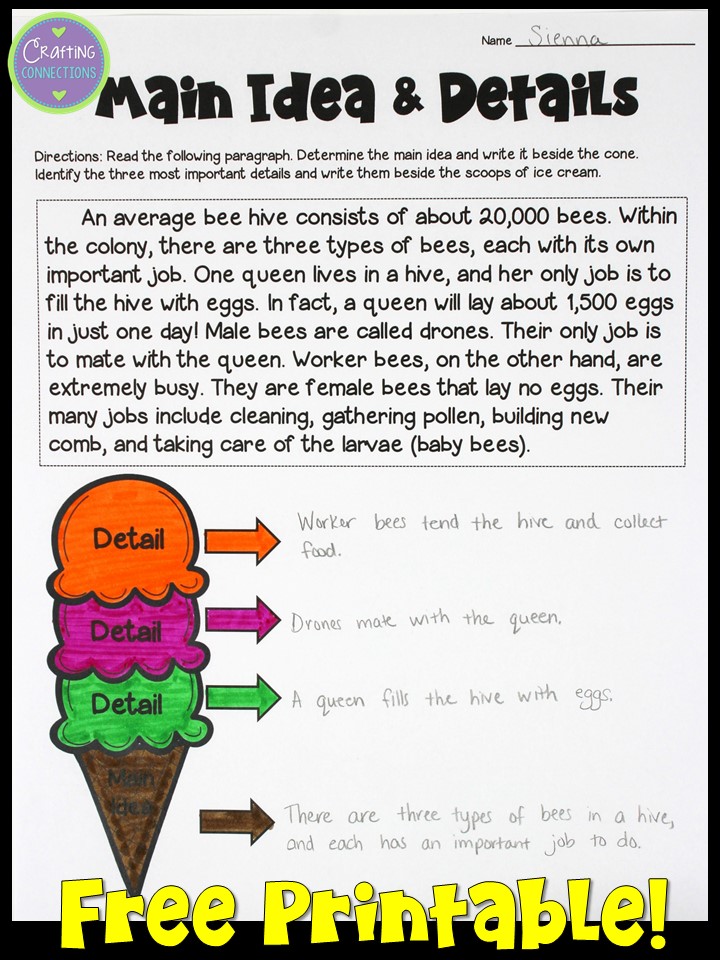 Main Idea Worksheets 5th Grade