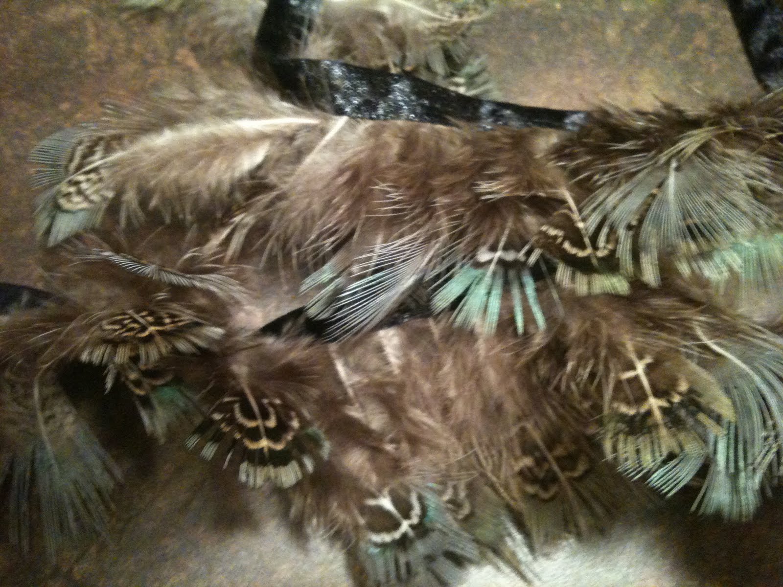Sew Essentially Sew Feathers!