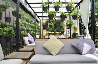 Tanaman Dalam Ruangan Rumah Minimalis Modern Tanaman Dalam Ruangan Rumah Minimalis Modern, Tanaman Rumah Minimalis, Tanaman Dalam Rumah, Tanaman Hias Rumah Minimalis,
