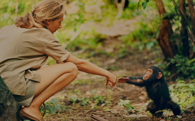 Jane Goodall 