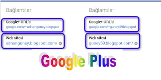 Google Plus Profil ve Sayfa URL'si hakkında açıklamalar
