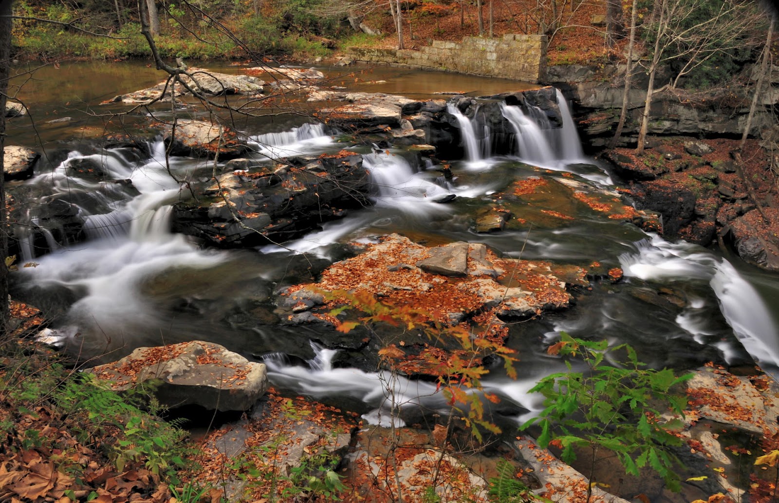 Discover West Virginia Brush Creek Falls Trail Short Hike to a Tall