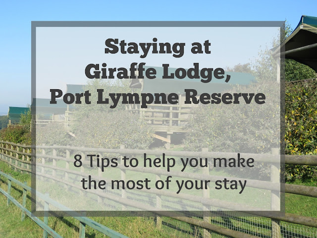 Giraffe Lodge at Port Lympne Reserve, Kent is an amazing and luxurious UK safari experience for any couple, looking for a special time away.