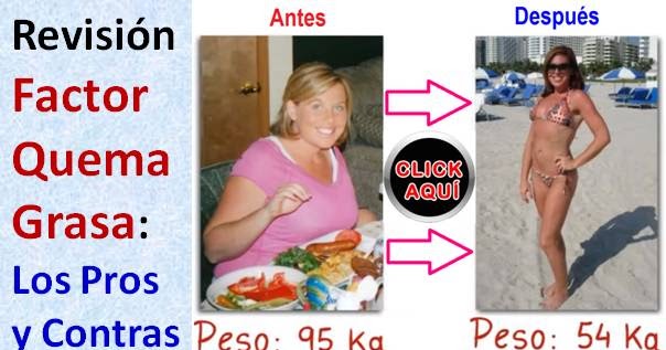 Sistema c para adelgazar pdf writer