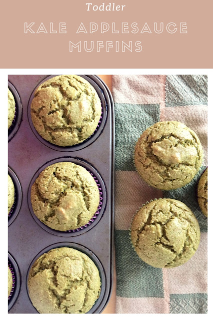 Finished baked whole wheat kale applesauce toddler muffins.